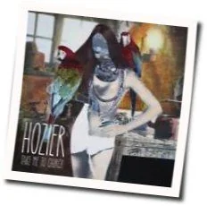 Take Me To Church Acoustic Chords by Hozier