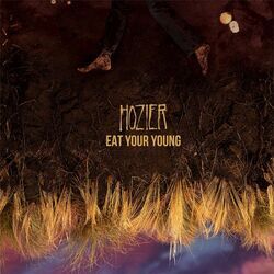 All Things End Chords by Hozier