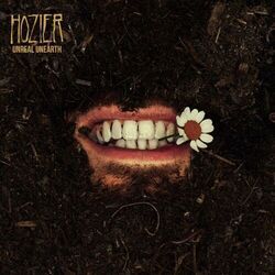 Damage Gets Done Chords by Hozier