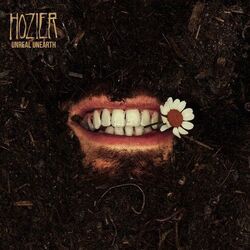 De Selby Chords by Hozier