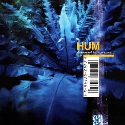 If You Are To Bloom Chords by Hum