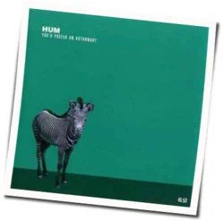 Why I Like The Robins Bass Tab by Hum