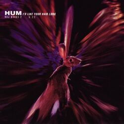 Id Like Your Hair Long Bass tabs by Hum