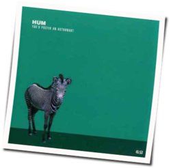 Why I Like The Robins Bass tabs by Hum