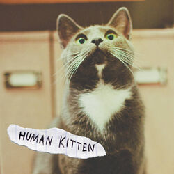 Me Chords by Human Kitten
