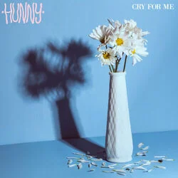 Cry For Me Chords by Hunny