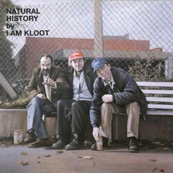 No Fear Of Falling Chords by I Am Kloot