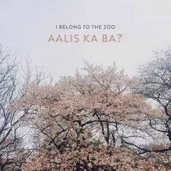 Aalis Ka Ba Chords by I Belong To The Zoo