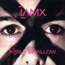 IAMX chords for Kiss and swallow