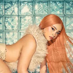 Baddie Baddie Chords by Ice Spice