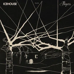 Not My Kind Chords by Icehouse