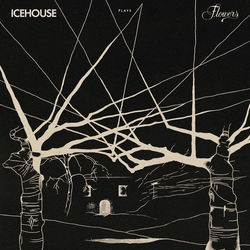 Not My Kind Chords by Icehouse