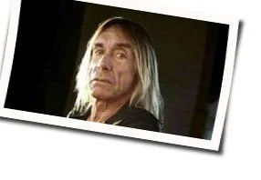 Vulture Chords by Iggy Pop
