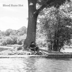 Blood Runs Hot Chords by Ike Dweck