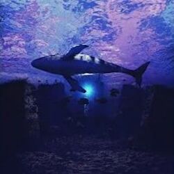 Talas Chords by Ilhan