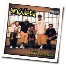 Warning Acoustic Chords by Incubus