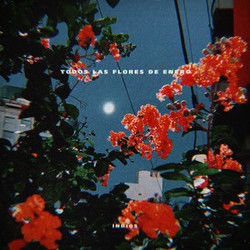 Todas Las Flores De Enero Chords by Indios