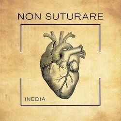 Niente Chords by Inedia