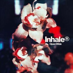 Open Wide Bass Tab by Inhaler