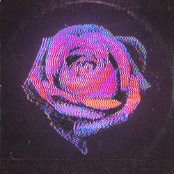 Rose by Inner Wave