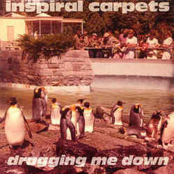 Dragging Me Down by Inspiral Carpets