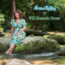 Wild Mountain Stream by Irene Kelley