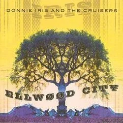 Love Messiah Chords by Donnie Iris