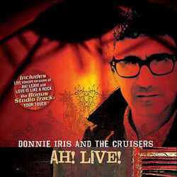 Rocque Fantastique by Donnie Iris