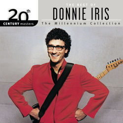 The Best Possible World by Donnie Iris
