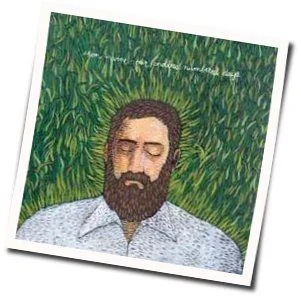 About A Bruise Chords by Iron & Wine