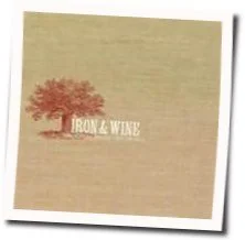 Fever Dream Tab by Iron & Wine