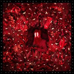Grace Notes Chords by Iron & Wine