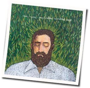 History Of Lovers Chords by Iron & Wine