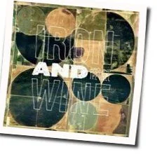 Kingdom Of The Animals Tab by Iron & Wine