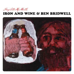 Straight And Narrow Chords by Iron & Wine