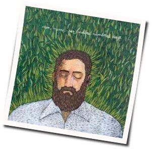 About A Bruise Chords by Iron & Wine