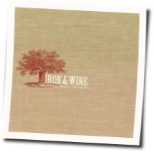 Fever Dream Tab by Iron & Wine