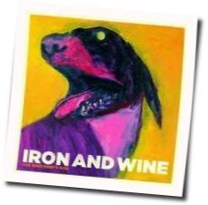 Flightless Bird American Mouth by Iron & Wine