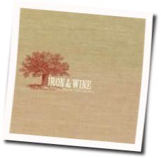 Her Tea Leaves Chords by Iron & Wine