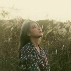 The Visitor Bass tabs by Iu