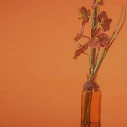 Hey Barbara Tab by IV Of Spades