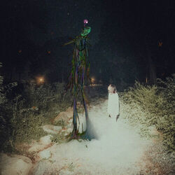 Fuzzy Chords by Ivri