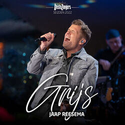 Hoe Kon Ik Zo Dom Zijn Chords by Jaap Reesema