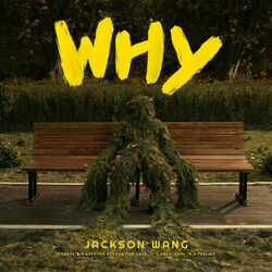 Why Why Why by Jackson Wang