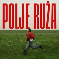 Polje Ruža Chords by Jakov Jozinović