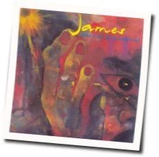 Born Of Frustration Chords by James