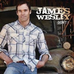 Didn't I Chords by James Wesley