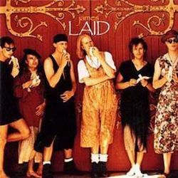 Laid Bass tabs by James
