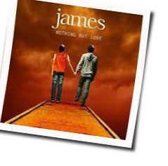 Nothing But Love by James