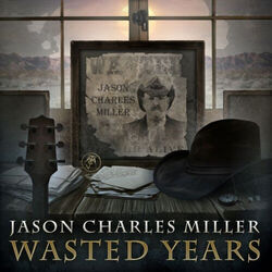 Wasted Years by Jason Charles Miller